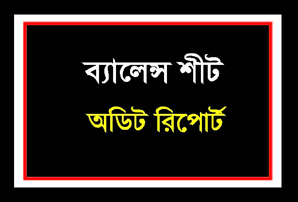 ব্যালেন্স শীট/ অডিট রিপোর্ট